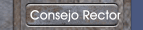 Consejo Rector
